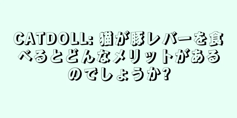 CATDOLL: 猫が豚レバーを食べるとどんなメリットがあるのでしょうか?