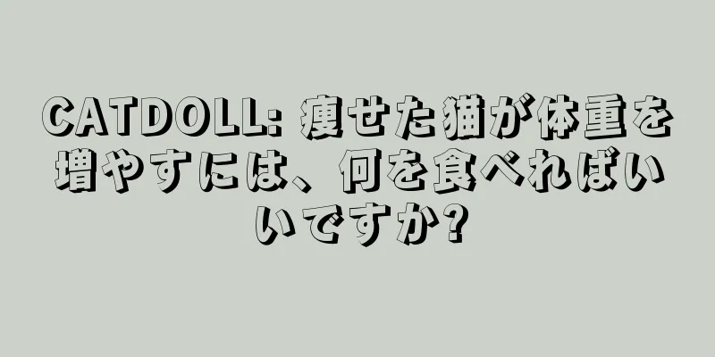 CATDOLL: 痩せた猫が体重を増やすには、何を食べればいいですか?