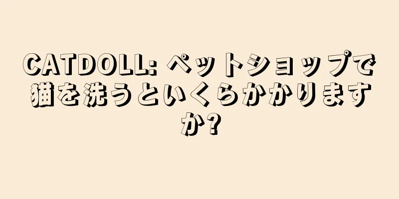 CATDOLL: ペットショップで猫を洗うといくらかかりますか?