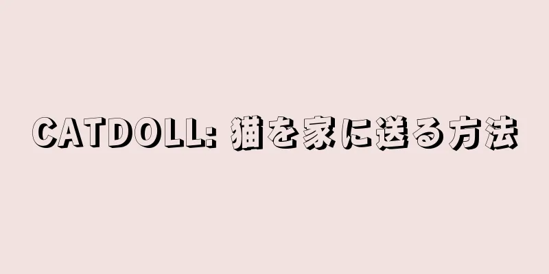 CATDOLL: 猫を家に送る方法