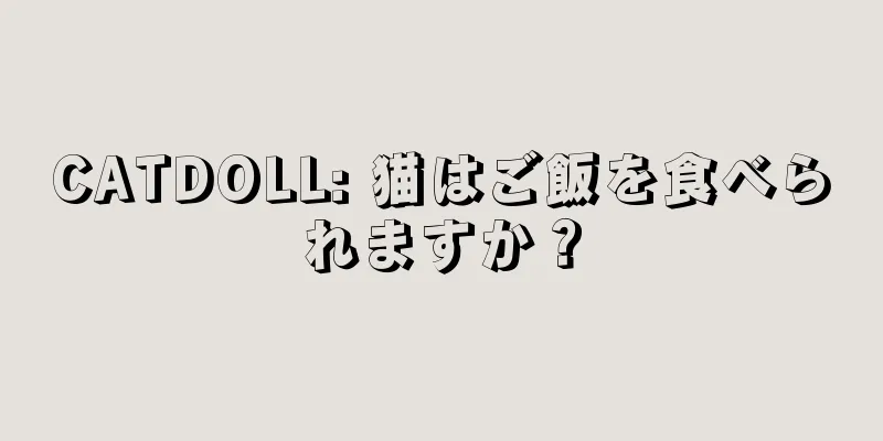 CATDOLL: 猫はご飯を食べられますか？