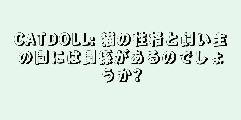 CATDOLL: 猫の性格と飼い主の間には関係があるのでしょうか?