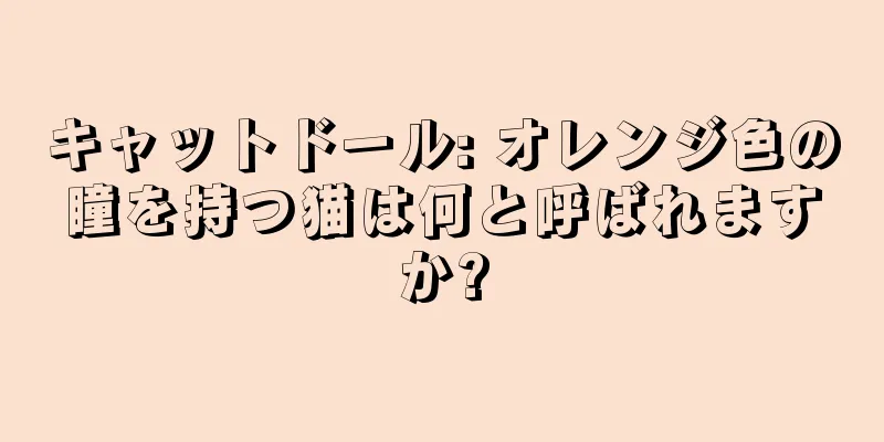 キャットドール: オレンジ色の瞳を持つ猫は何と呼ばれますか?