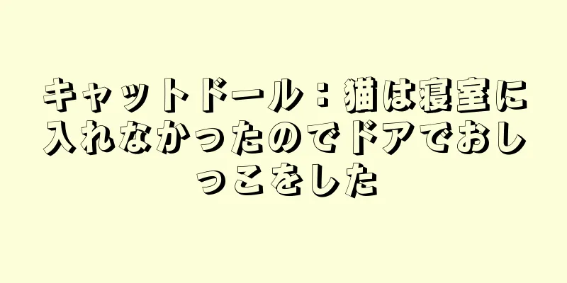 キャットドール：猫は寝室に入れなかったのでドアでおしっこをした