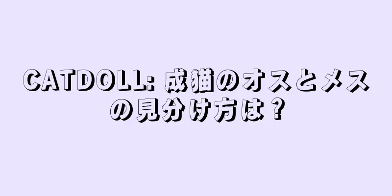 CATDOLL: 成猫のオスとメスの見分け方は？