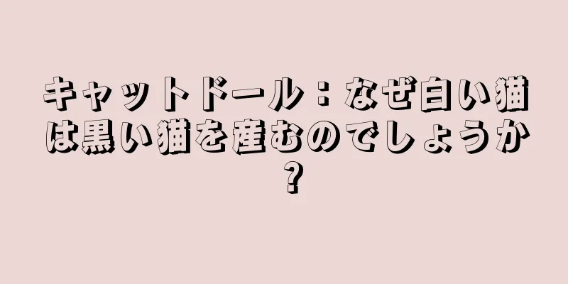 キャットドール：なぜ白い猫は黒い猫を産むのでしょうか？