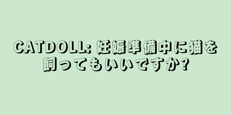 CATDOLL: 妊娠準備中に猫を飼ってもいいですか?