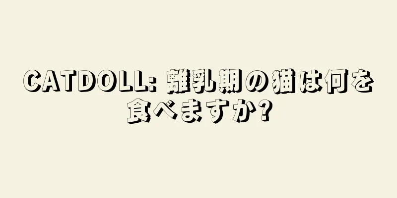 CATDOLL: 離乳期の猫は何を食べますか?