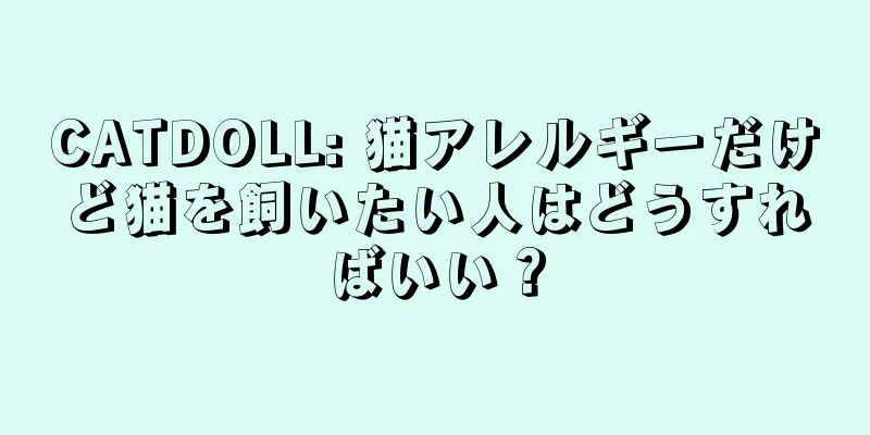 CATDOLL: 猫アレルギーだけど猫を飼いたい人はどうすればいい？
