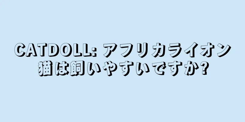 CATDOLL: アフリカライオン猫は飼いやすいですか?