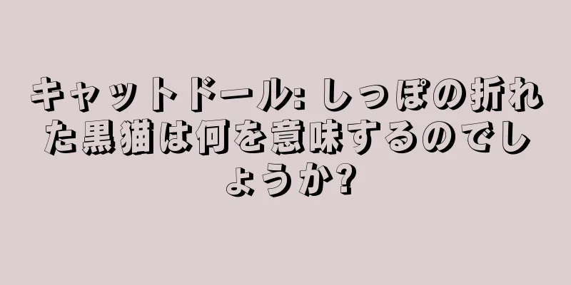 キャットドール: しっぽの折れた黒猫は何を意味するのでしょうか?