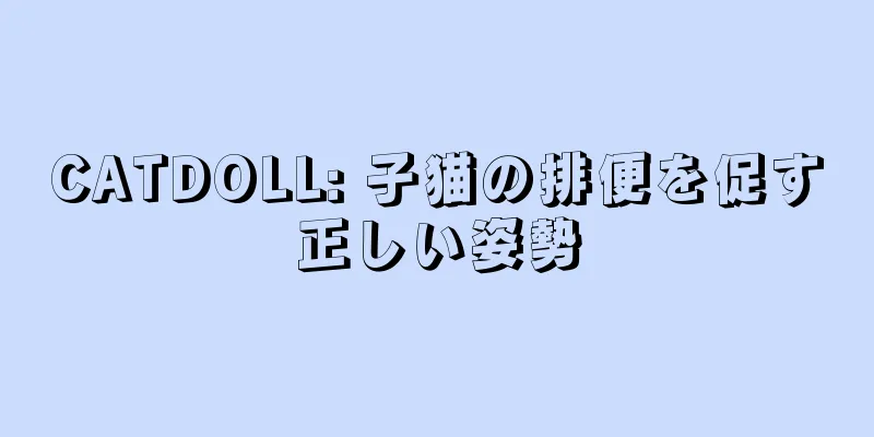 CATDOLL: 子猫の排便を促す正しい姿勢