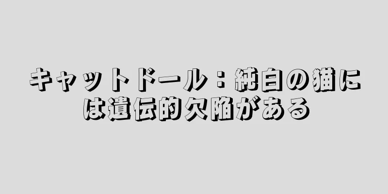 キャットドール：純白の猫には遺伝的欠陥がある