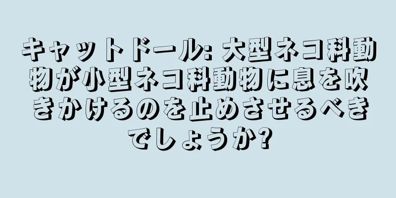 キャットドール: 大型ネコ科動物が小型ネコ科動物に息を吹きかけるのを止めさせるべきでしょうか?