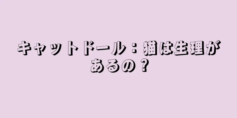 キャットドール：猫は生理があるの？