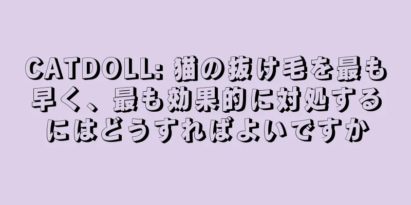 CATDOLL: 猫の抜け毛を最も早く、最も効果的に対処するにはどうすればよいですか