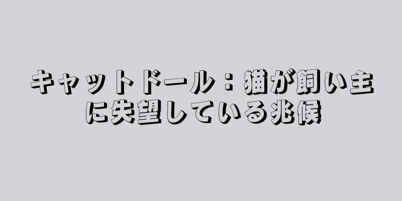 キャットドール：猫が飼い主に失望している兆候