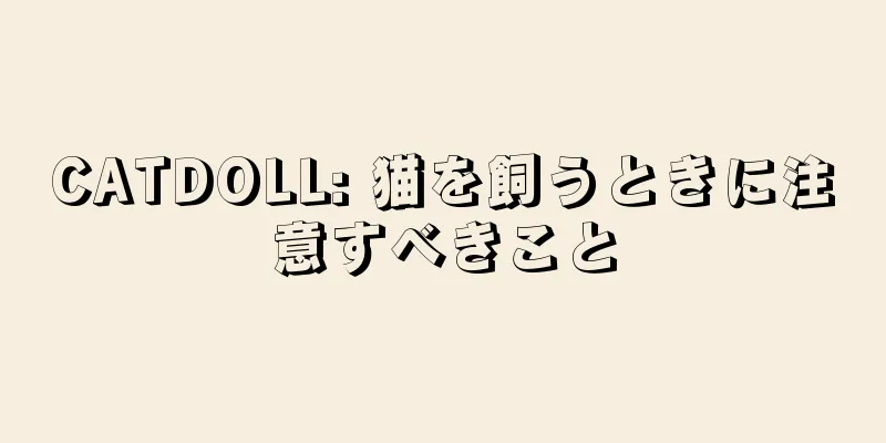 CATDOLL: 猫を飼うときに注意すべきこと