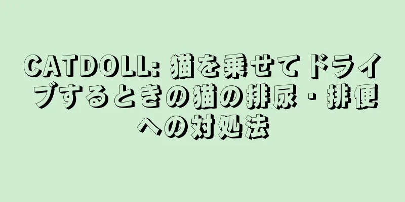 CATDOLL: 猫を乗せてドライブするときの猫の排尿・排便への対処法