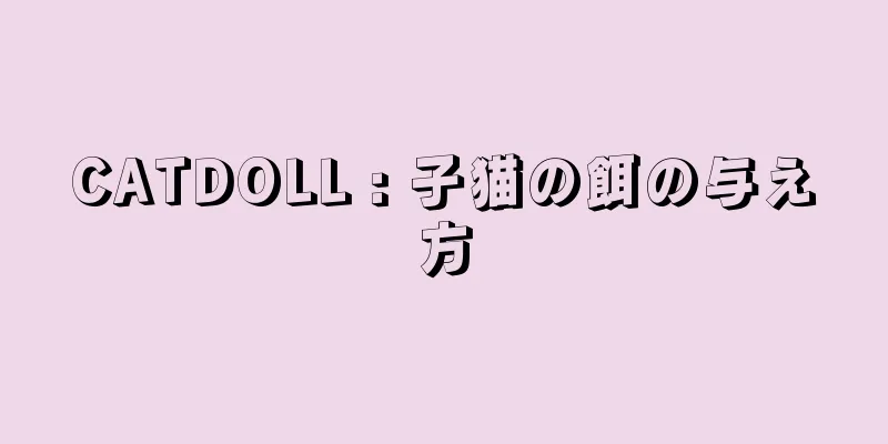 CATDOLL : 子猫の餌の与え方