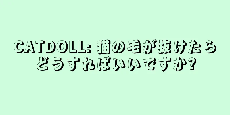 CATDOLL: 猫の毛が抜けたらどうすればいいですか?