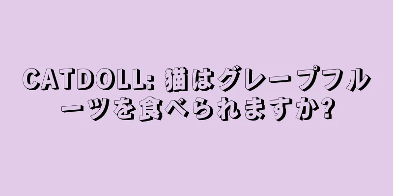 CATDOLL: 猫はグレープフルーツを食べられますか?