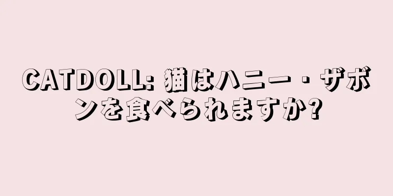 CATDOLL: 猫はハニー・ザボンを食べられますか?