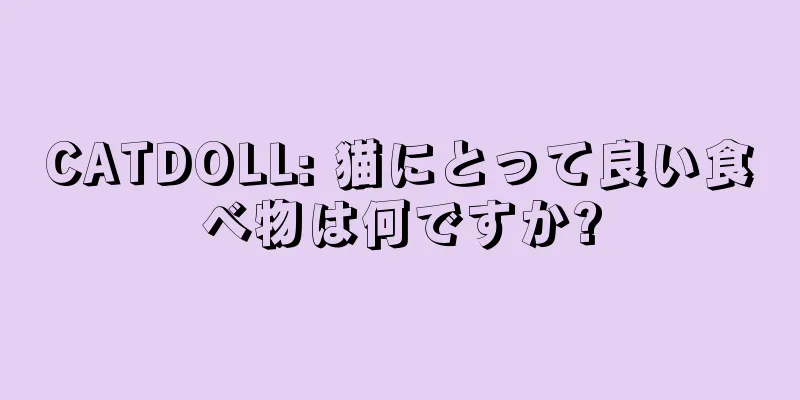 CATDOLL: 猫にとって良い食べ物は何ですか?