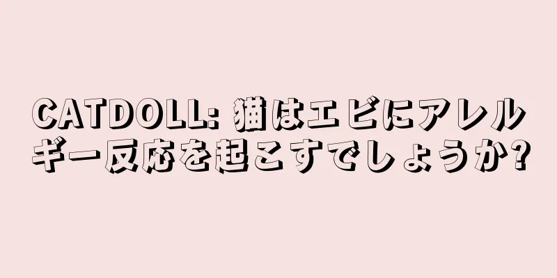 CATDOLL: 猫はエビにアレルギー反応を起こすでしょうか?