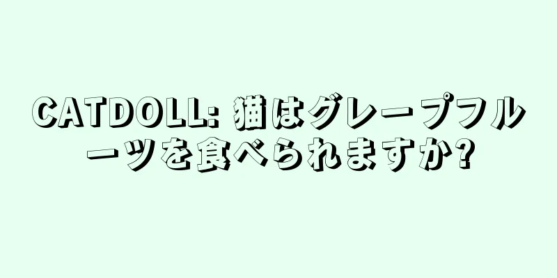 CATDOLL: 猫はグレープフルーツを食べられますか?