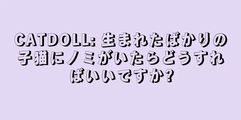 CATDOLL: 生まれたばかりの子猫にノミがいたらどうすればいいですか?