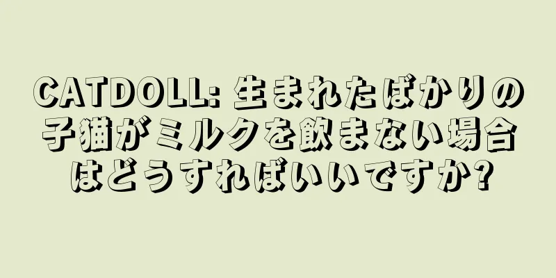 CATDOLL: 生まれたばかりの子猫がミルクを飲まない場合はどうすればいいですか?