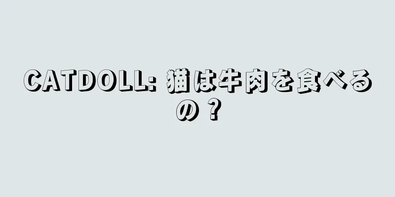 CATDOLL: 猫は牛肉を食べるの？