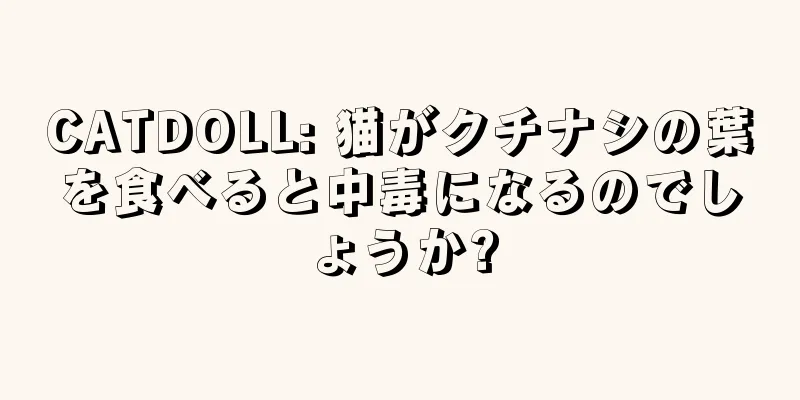 CATDOLL: 猫がクチナシの葉を食べると中毒になるのでしょうか?