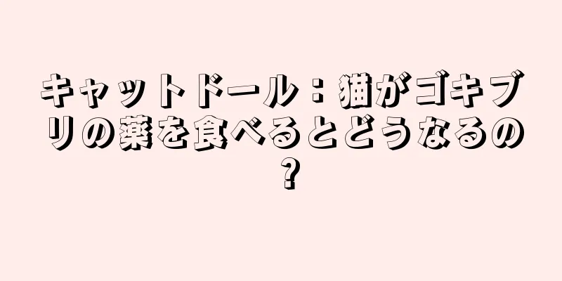 キャットドール：猫がゴキブリの薬を食べるとどうなるの？