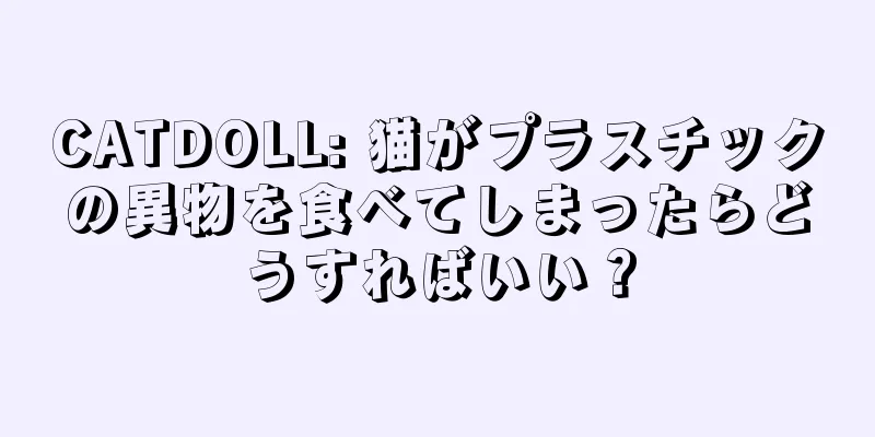 CATDOLL: 猫がプラスチックの異物を食べてしまったらどうすればいい？