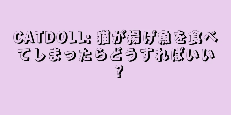CATDOLL: 猫が揚げ魚を食べてしまったらどうすればいい？