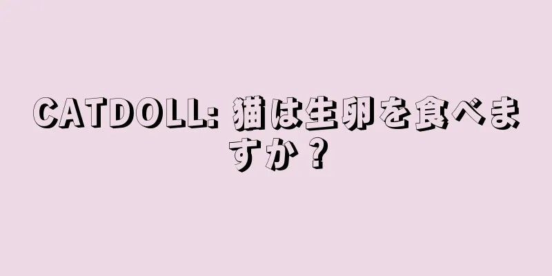 CATDOLL: 猫は生卵を食べますか？