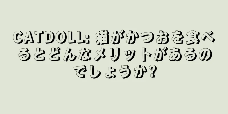 CATDOLL: 猫がかつおを食べるとどんなメリットがあるのでしょうか?