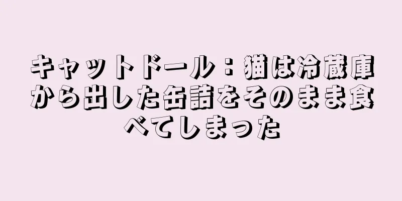 キャットドール：猫は冷蔵庫から出した缶詰をそのまま食べてしまった