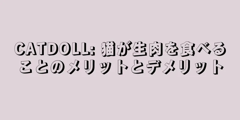 CATDOLL: 猫が生肉を食べることのメリットとデメリット