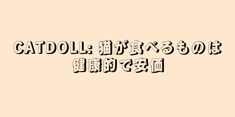 CATDOLL: 猫が食べるものは健康的で安価