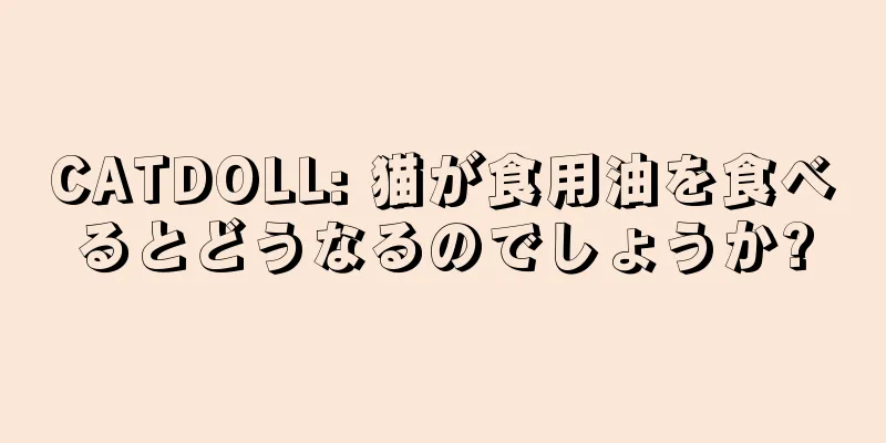 CATDOLL: 猫が食用油を食べるとどうなるのでしょうか?