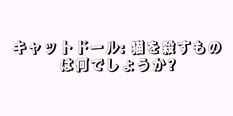 キャットドール: 猫を殺すものは何でしょうか?
