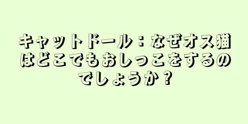 キャットドール：なぜオス猫はどこでもおしっこをするのでしょうか？