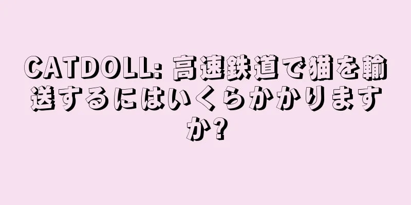 CATDOLL: 高速鉄道で猫を輸送するにはいくらかかりますか?