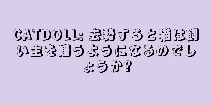 CATDOLL: 去勢すると猫は飼い主を嫌うようになるのでしょうか?