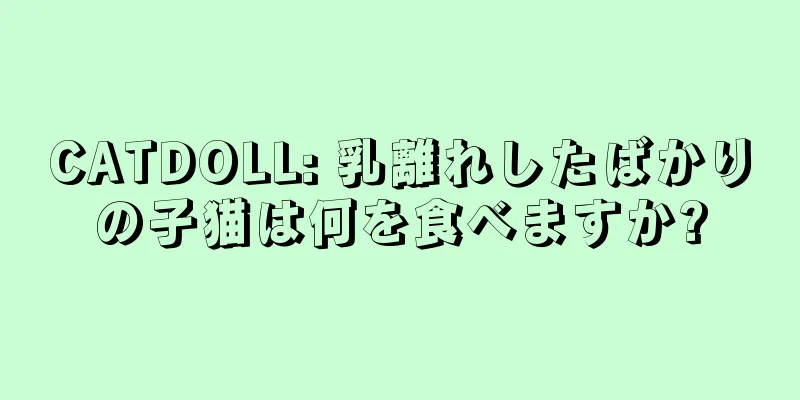 CATDOLL: 乳離れしたばかりの子猫は何を食べますか?