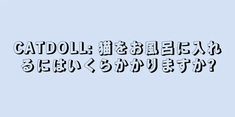 CATDOLL: 猫をお風呂に入れるにはいくらかかりますか?