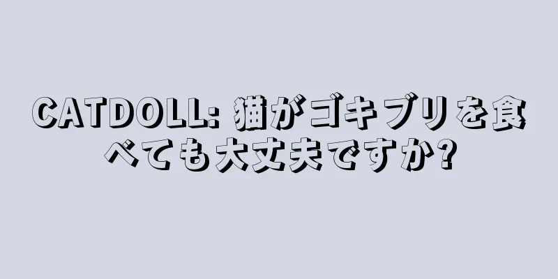 CATDOLL: 猫がゴキブリを食べても大丈夫ですか?